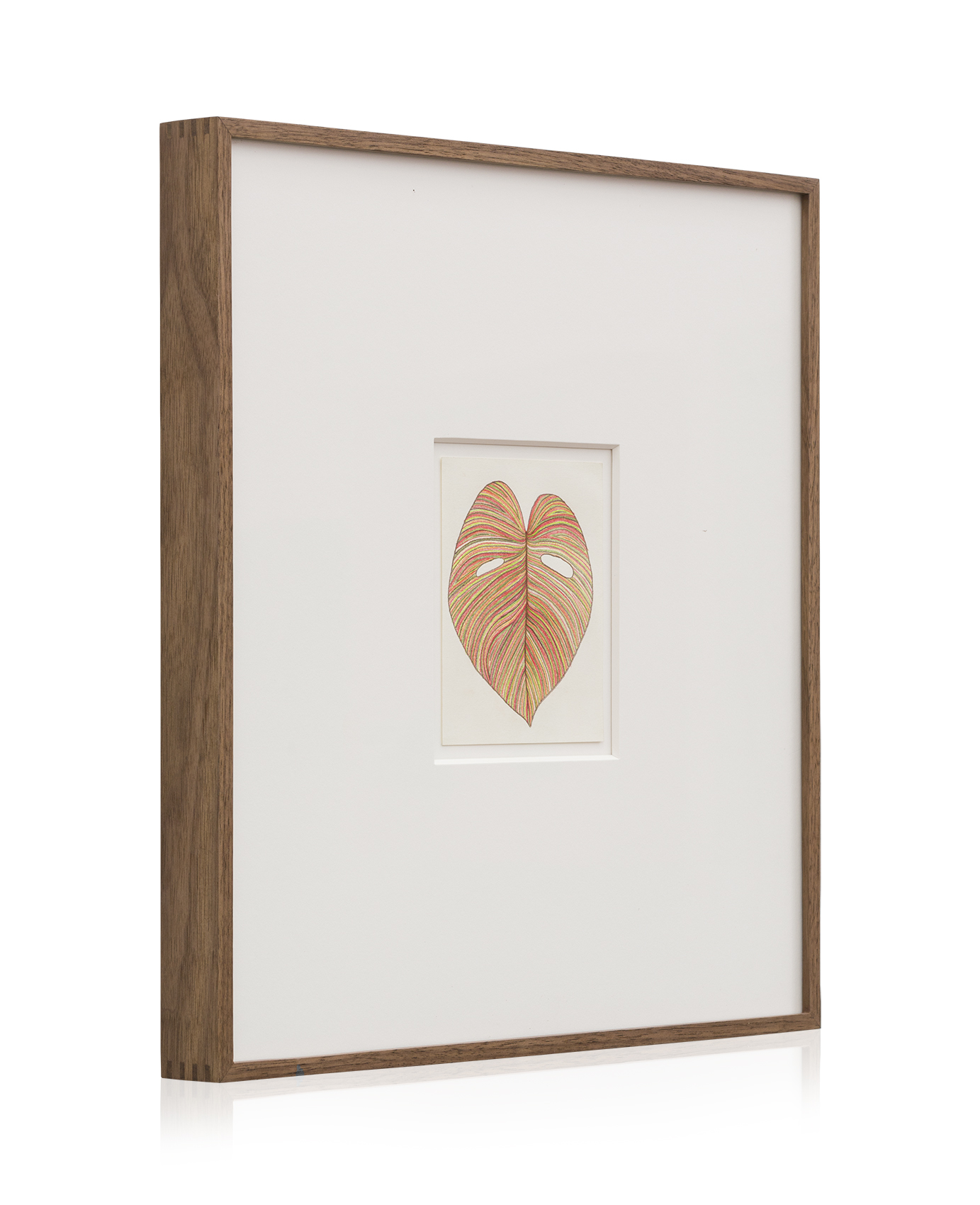 Monstera Drawing Solo 5_3